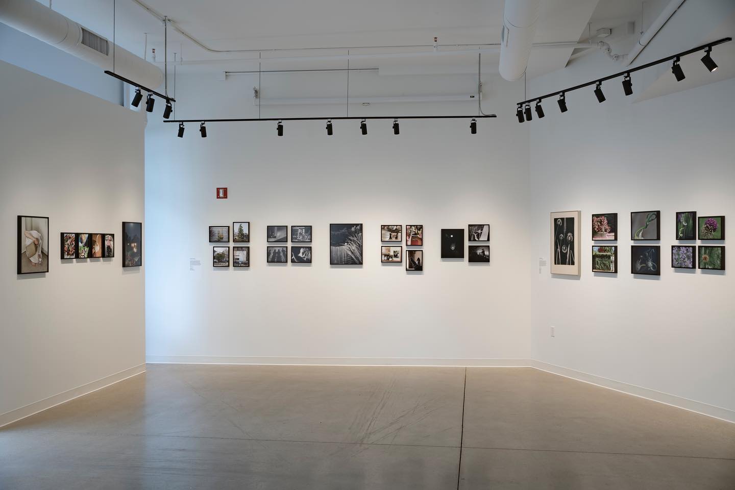 Image of a photo gallery with white walls and photographs