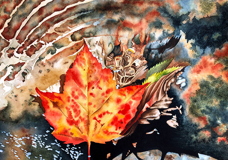 Watercolor painting of a maple leaf falling into a pool of water