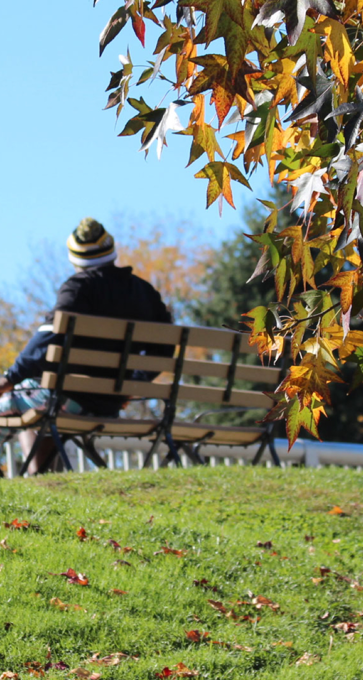 Person sitting on bench in park under blue sky