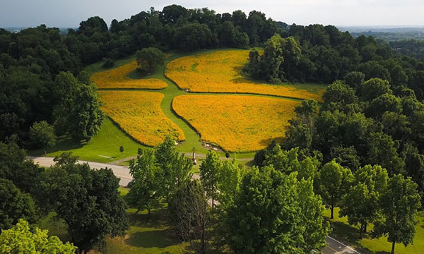 Aerial image of a rolling hill park