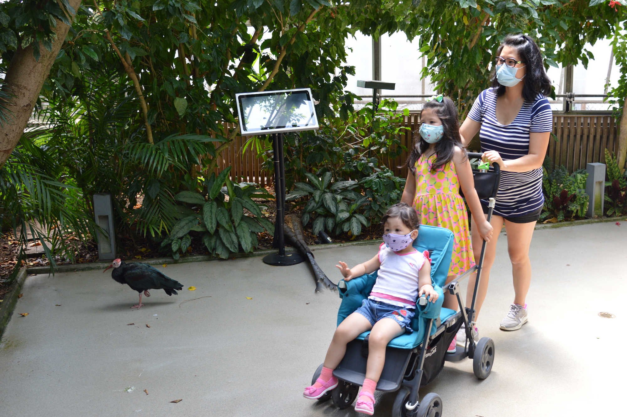 Mother and daughters in masks visit National Aviary.