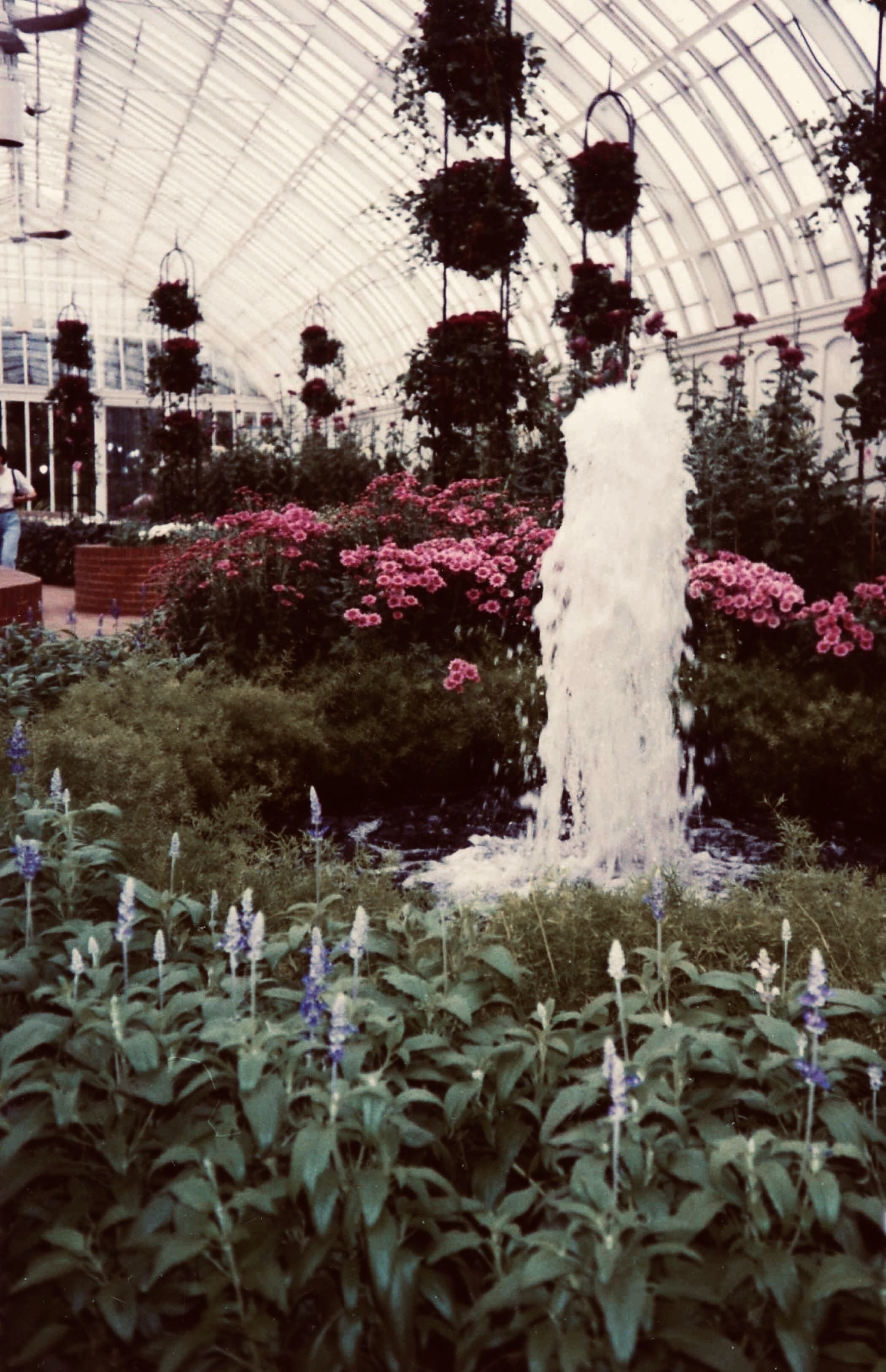 Phipps Conservatory and Botanical Garden