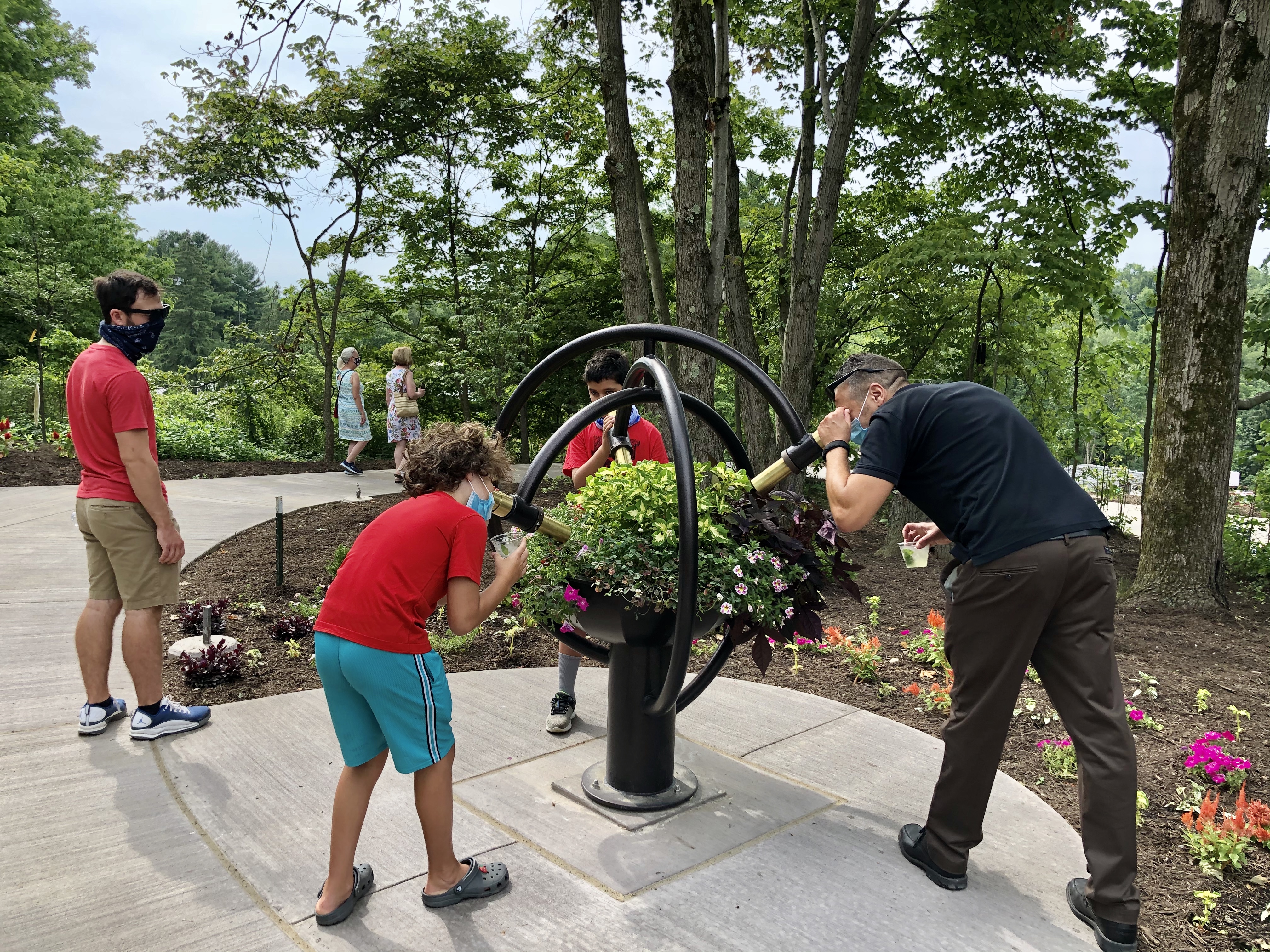 People exploring a botanic garden