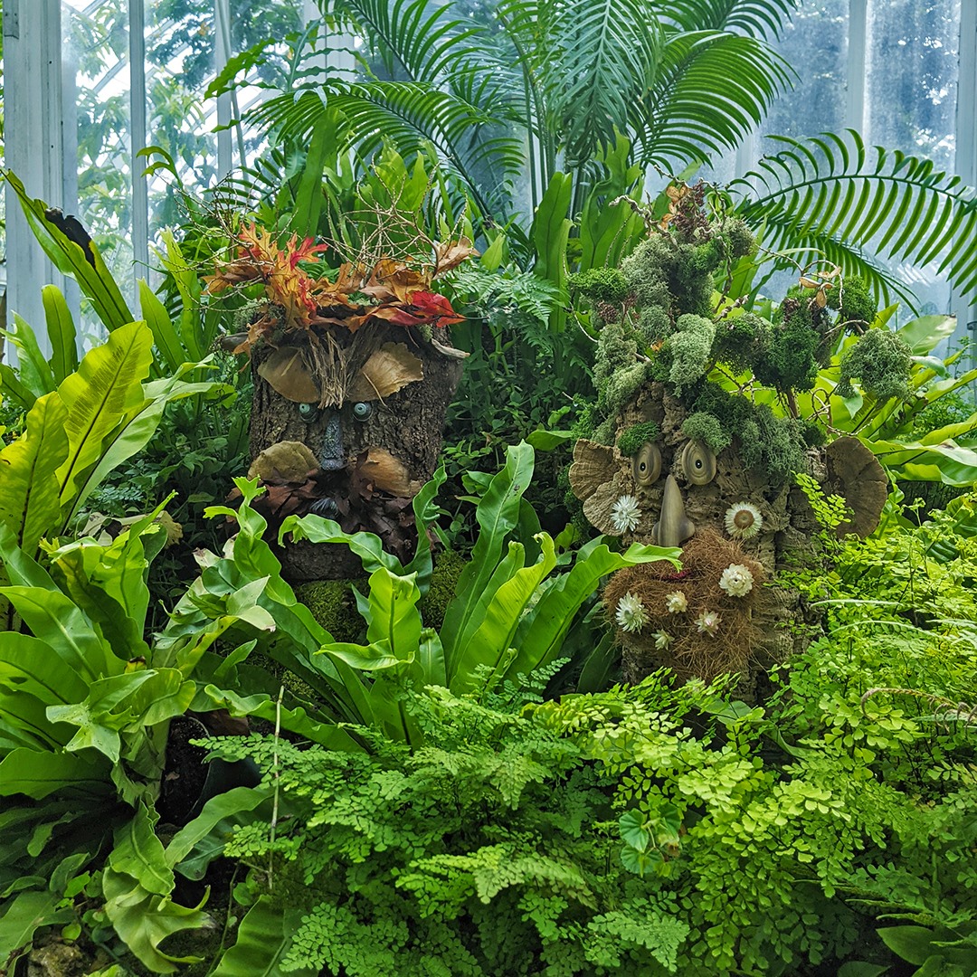 Plant display at Phipps Conservatory and Botanical Gardens