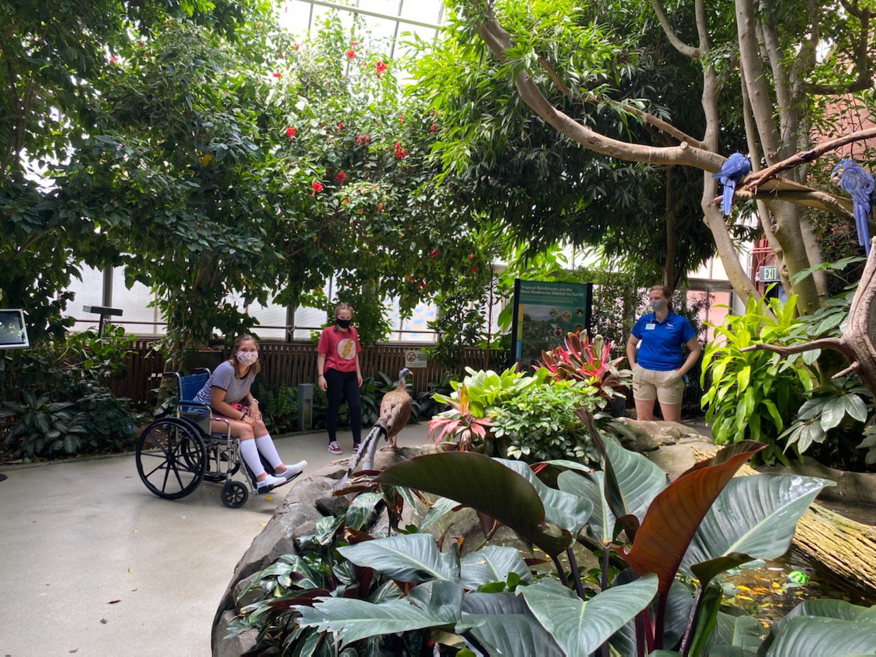 People inside the National Aviary