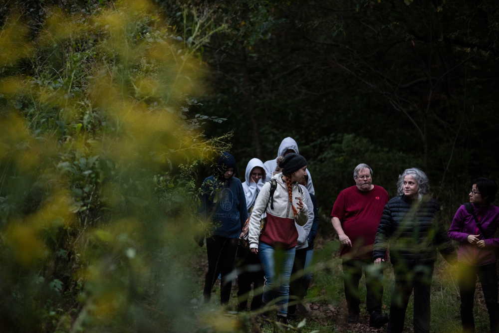 People walking in woods