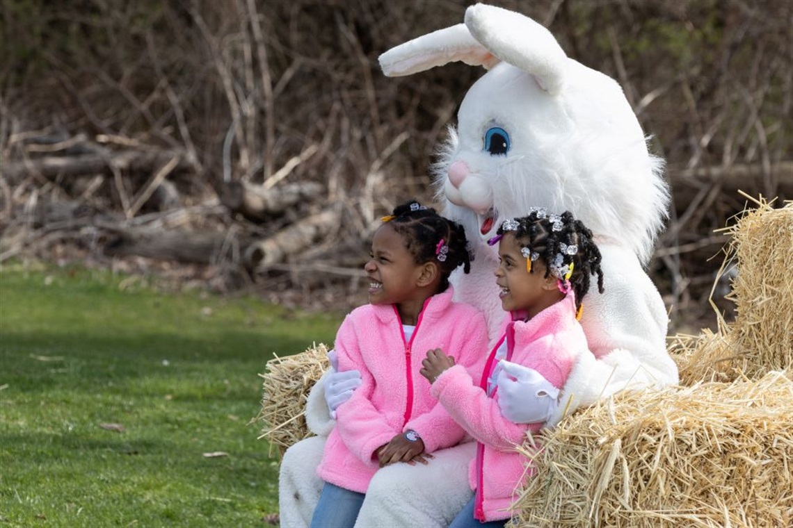 Easter Bunny Egg Hunt