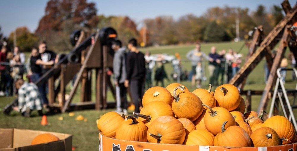 Photograph showing a big array of pumpkins in the foreground and a crowd gathering around a trebuchet in the background