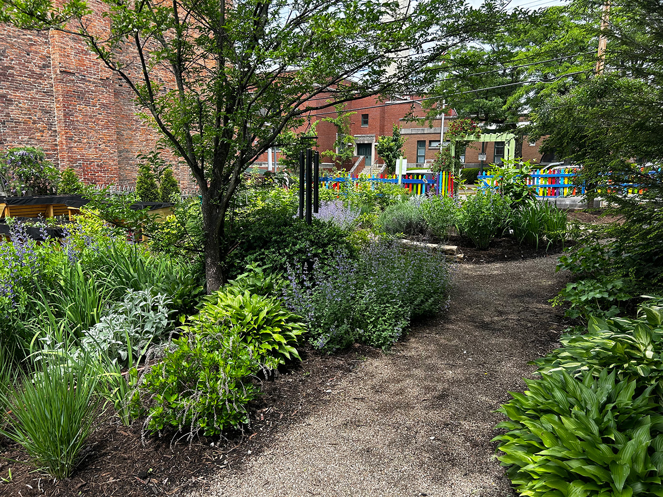A view of the paths and plants of a green community garden, with a colorful fence and brick buildings in the background